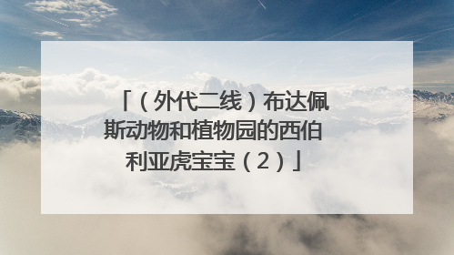 （外代二线）布达佩斯动物和植物园的西伯利亚虎宝宝（2）