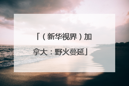 （新华视界）加拿大：野火蔓延