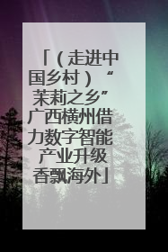 （走进中国乡村）“茉莉之乡”广西横州借力数字智能 产业升级香飘海外