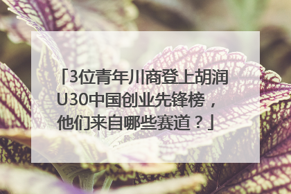 3位青年川商登上胡润U30中国创业先锋榜，他们来自哪些赛道？