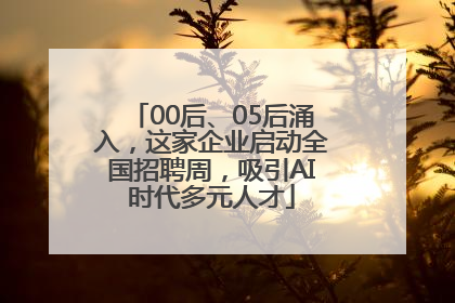 00后、05后涌入，这家企业启动全国招聘周，吸引AI时代多元人才