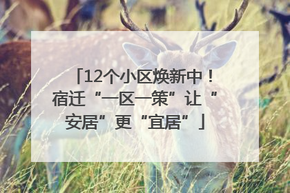 12个小区焕新中！宿迁“一区一策”让“安居”更“宜居”