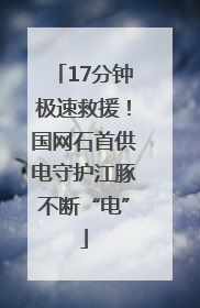 17分钟极速救援！国网石首供电守护江豚不断“电”
