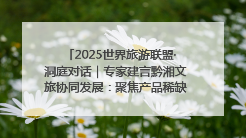 2025世界旅游联盟·洞庭对话｜专家建言黔湘文旅协同发展：聚焦产品稀缺性 深化区域经验共享
