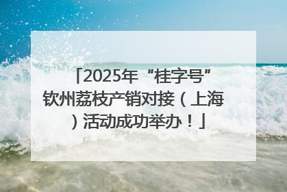 2025年“桂字号”钦州荔枝产销对接（上海）活动成功举办！