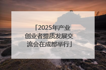 2025年产业创业者提质发展交流会在成都举行