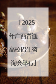 2025年广西普通高校招生咨询会举行