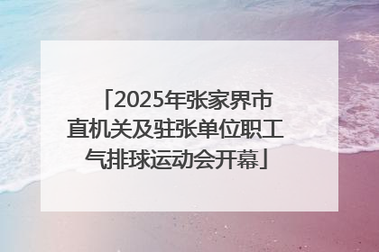 2025年张家界市直机关及驻张单位职工气排球运动会开幕