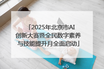 2025年北京市AI创新大赛暨全民数字素养与技能提升月全面启动