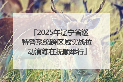 2025年辽宁省巡特警系统跨区域实战拉动演练在抚顺举行