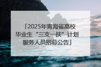 2025年青海省高校毕业生“三支一扶”计划服务人员招募公告