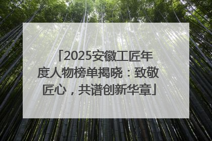 2025安徽工匠年度人物榜单揭晓：致敬匠心，共谱创新华章