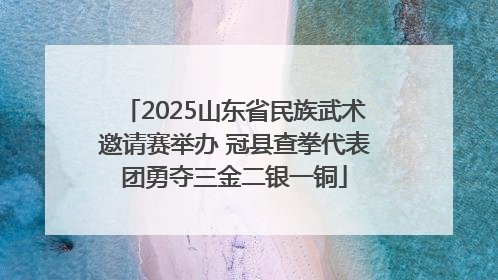 2025山东省民族武术邀请赛举办 冠县查拳代表团勇夺三金二银一铜
