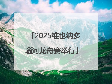 2025维也纳多瑙河龙舟赛举行