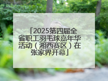 2025第四届全省职工羽毛球嘉年华活动（湘西赛区）在张家界开幕