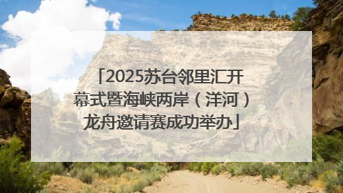 2025苏台邻里汇开幕式暨海峡两岸（洋河）龙舟邀请赛成功举办