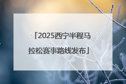 2025西宁半程马拉松赛事路线发布