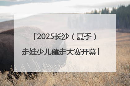 2025长沙（夏季）走娃少儿健走大赛开幕