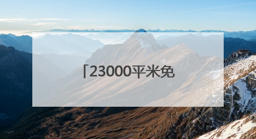 23000平米免费花海、上海国际电影节、花开海上免票游......本周文旅生活指南来了