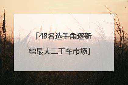 48名选手角逐新疆最大二手车市场
