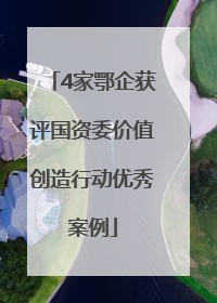 4家鄂企获评国资委价值创造行动优秀案例