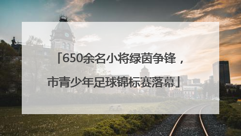 650余名小将绿茵争锋，市青少年足球锦标赛落幕