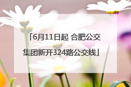 6月11日起 合肥公交集团新开324路公交线