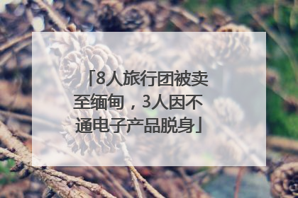 8人旅行团被卖至缅甸，3人因不通电子产品脱身