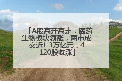 A股高开高走：医药生物板块领涨，两市成交近1.3万亿元，4120股收涨